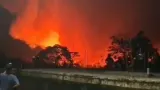 Kebakaran Lahan Terjadi di Seberang TPA Galuga Bogor, Damkar Lakukan Penanganan