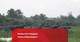 Gunung Es di Balik Kebakaran Hutan di Indonesia