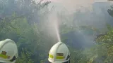 Kebakaran Lahan di Kampung Bandan Jakut Capai 0,5 Hektare, Diduga Akibat Puntung Rokok