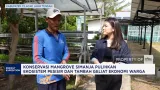 Konservasi Mangrove Simanja Pulihkan Ekosistem Pesisir