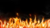 Lahan Kosong di Depok Kebakaran, Diduga Dipicu Warga Bakar Sampah