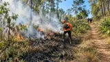 Kebakaran Bromo Dekati Permukiman, Petugas Buat Sekat Bakar
