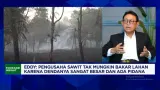 Video, Karhutla Melanda, Pengusaha Sawit Bantu Padamkan Kebakaran