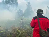 BNPB Ungkap Upaya Modifikasi Cuaca Padamkan Karhutla di Kalimantan-Sumatera