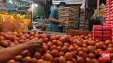 Zulhas Ungkap Harga Telur di Papua Rp60 Ribu, 2 Kali Lipat dari DKI