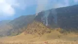 Kebakaran Meluas di Kaldera, Kawasan Wisata Gunung Bromo Ditutup Total