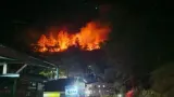 19 Perusahaan Penyebab Kebakaran Hutan Ditindak di Tujuh Provinsi