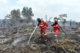 Manggala Agni Padamkan Kebakaran Lahan Gambut di Tanjung Jabung Timur Jambi