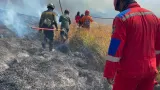 Tantangan Pemadaman Kebakaran Bromo Saat Api Mulai Melompati Lautan Pasir