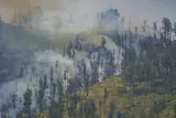 Kebakaran Gunung Bromo Water Bombing Terhenti, Cuaca Jadi Kendala