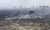 Helikopter Apache AS Sering Jatuh, Masalah Transmisi Fatal Jadi Sorotan
