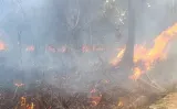 Kebakaran Lahan Terjadi di Kampung Jeruk Bintan, Dipicu Warga Bakar Sampah