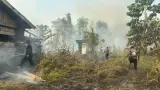 BMKG Deteksi 1.923 Titik Panas di Papua Tengah, Nabire 1.069 Hotspot, Langkah Mitigasi dan Kewaspadaan Warga
