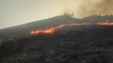 Area Sabana Dekat Bukit Teletubbies Bromo Kebakaran