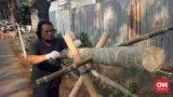 Jelang HUT ke-81 RI, Perajin Pohon Pinang di Tangerang Kebanjiran Pesanan