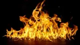 Mobil Terbakar di Jalan Raya Alternatif Cibubur Bogor, Sopir Melarikan Diri