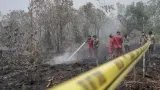 Bisakah Memadamkan Kebakaran dengan Tepung Ubi? Ini Temuan Riset Ilmiahnya