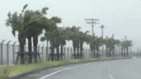 Topan Dolphin Menerjang Jepang dengan Angin 198 Km per Jam, Ratusan Ribu Warga Dievakuasi