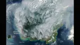 Akun NASA Soroti Kebakaran Hutan di Indonesia yang Meluas