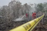 Sengaja Bakar Lahan, 72 Orang Jadi Tersangka Karhutla