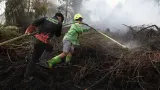 3 Juta Orang Terpapar Asap Kebakaran Hutan, Ini Risiko bagi Kesehatan