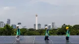 Biang Kerok Panel Surya RI Masuk AS Digetok Tarif Selangit