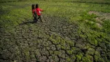 Kekeringan di Gunungkidul, Warga Dusun Kemesu Terpaksa Jual Ternak demi Air Bersih