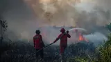 Kebakaran Hutan dan Lahan Berulang, Bahaya Jangka Panjang Mengintai