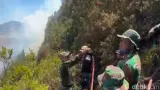 172 Pendaki Dievakuasi Imbas Jalur Pendakian Semeru Kebakaran