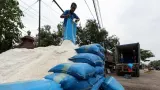 Pemerintah Target Setop Total Impor Garam di 2029