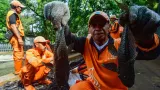 Pemprov DKI Alokasikan Rp 250 Juta untuk Kajian Ikan Sapu-Sapu di Perubahan APBD 2026