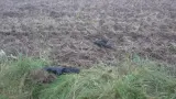 NATO Tembak Jatuh Drone Misterius Dekat Perbatasan Rusia, Milik Putin?