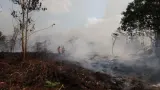 BNPB Minta Negara Tetangga Tak Saling Salahkan soal Asap Karhutla Kalimantan