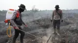 Pelaku Karhutla di Inhil Ditangkap Polisi, Ngaku Niat Usir Tawon