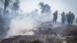 5.000 ASN Kemenhut Dikerahkan Tangani Karhutla di 6 Provinsi, Simak Skema Penempatan dan Pengendalian Titik Panas