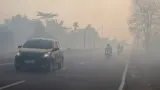 BNPB Sebut Kualitas Udara Berbahaya Imbas Kebakaran Hutan di Kalimantan