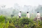 64 Ribu Hektare Hutan & Lahan Terbakar, Polri, 62 Persen Berhasil Dikendalikan
