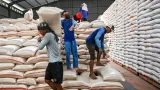 Jadwal Pencairan Bantuan Pangan Beras Cadangan Beras Pemerintah Bapanas Tahap II