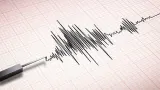 Guncangan Gempa Dangkal Cianjur Dilaporkan Terasa di Bandung-Cibubur