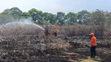 Kebakaran Lahan di 5 Titik di Cianjur, Kawasan Seluas 1.550 m2 Hangus