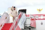 Prabowo Tinjau Penanganan Gempa NTT dan Kondisi Pengungsi di Flores