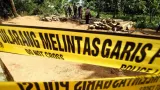 Kemenhut Tangkap Buron Pemodal Illegal Logging di Kalteng