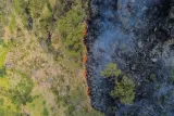 Area Kebakaran di Gunung Bromo Meluas hingga 520 Hektare