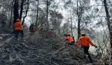 Area Terdampak Kebakaran di Bromo Capai 899 Hektare, Pemadaman Darat dan Udara Diperkuat