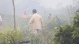 Tegas! Prabowo Ancam Cabut Izin Perusahaan Penyebab Kebakaran Hutan