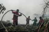 Upaya Satgas Menangani Kebakaran Lahan Gambut yang Meluas di Riau