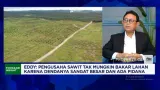 Kemarau Bikin Sungai Kering, Distribusi CPO dan Pembelian TBS Petani Terganggu