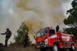 Terkendala Medan Terjal, Kebakaran Bromo Hanguskan 60 Hektare Lahan Konservasi