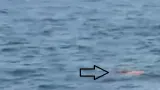 Ini Penampakan Pelampung dan Buoy Ditemukan Kapal TNI di Selat Sunda