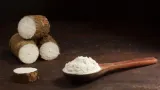 Tepung Singkong Efektif Padamkan Karhutla? BRIN Ungkap Hal Tak Terduga